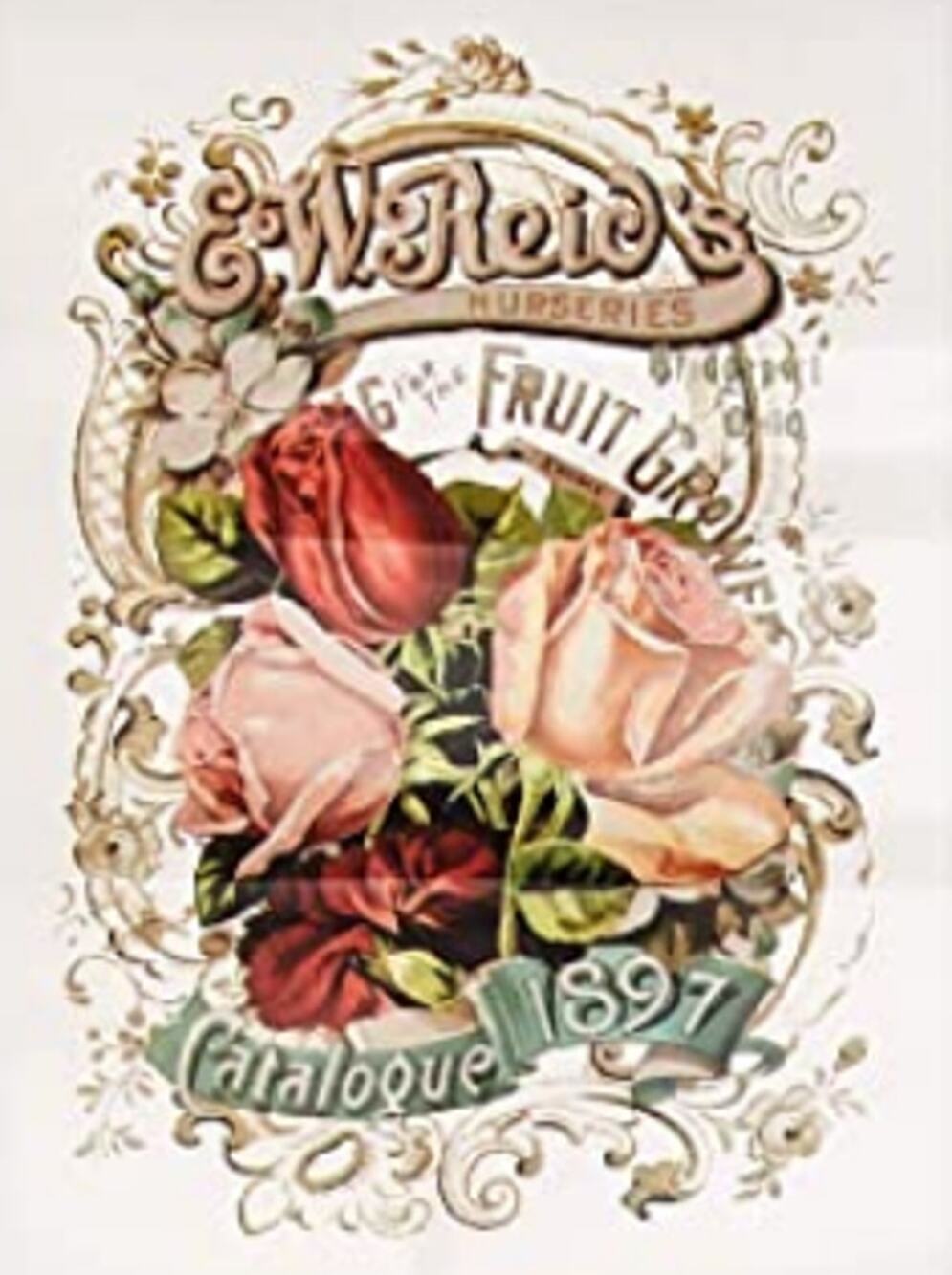Re Design by Prima Transfer Sticker Wild Roses 11x15" Red Pink Floral